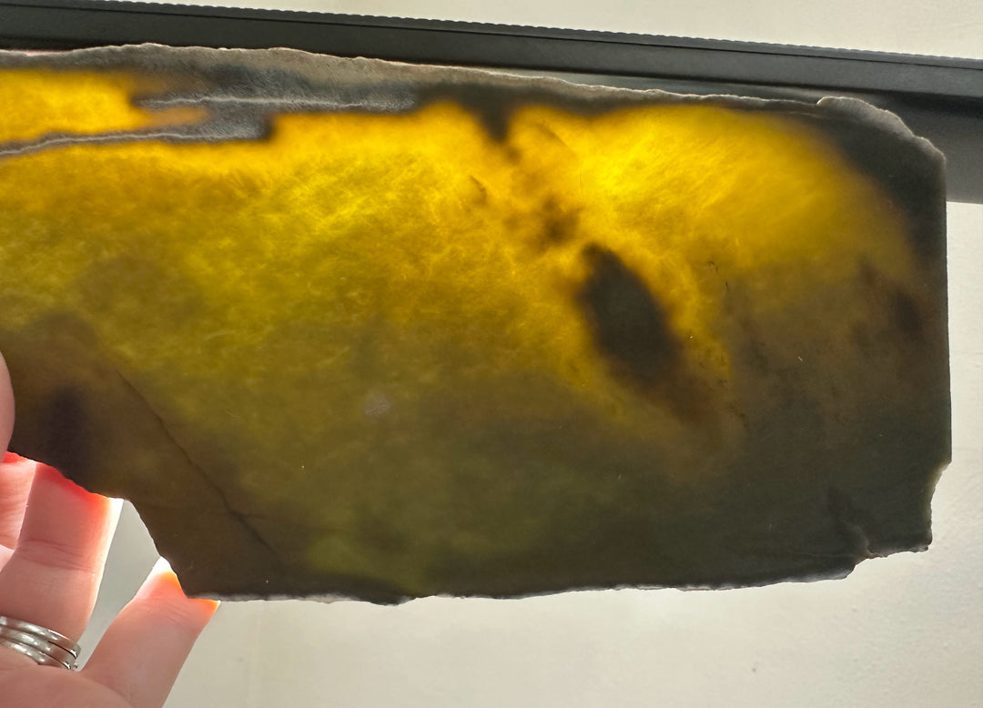 Wyoming Slab 230g warm yellow gold stone slab held by fingers
