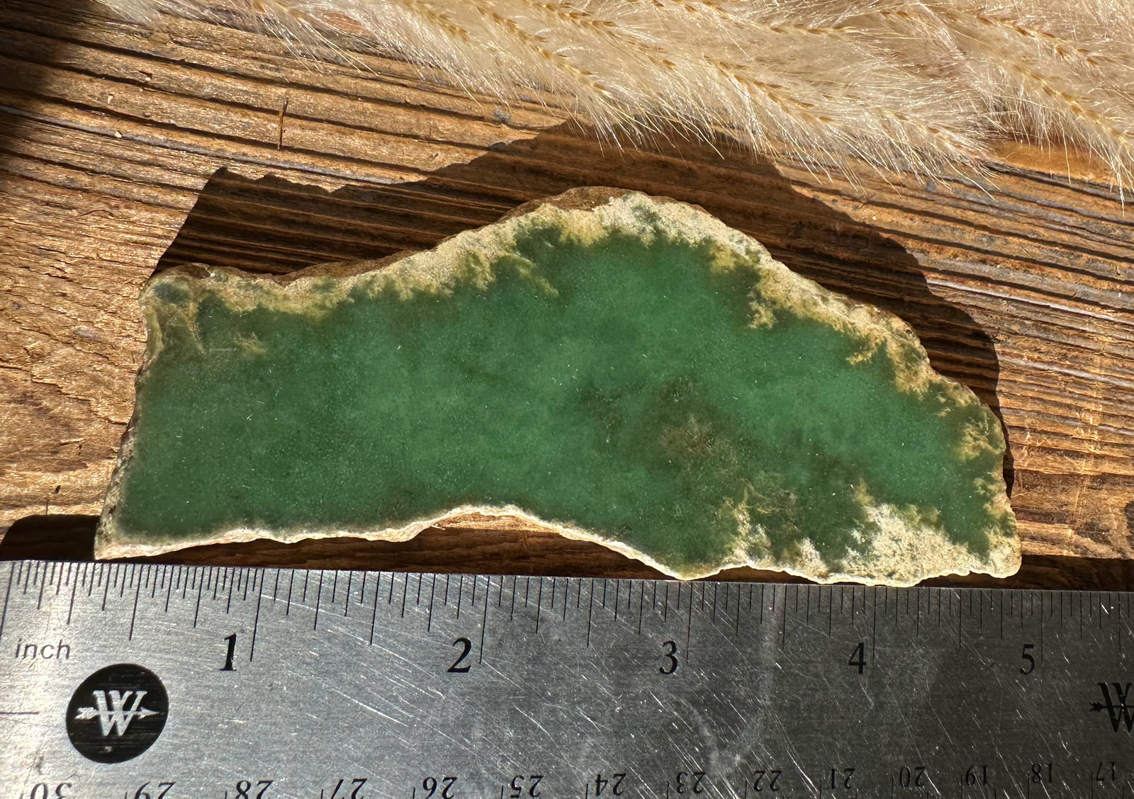 Wyoming Apple stone with a vivid green surface and light beige rind, placed on a wooden table with a ruler for scale.