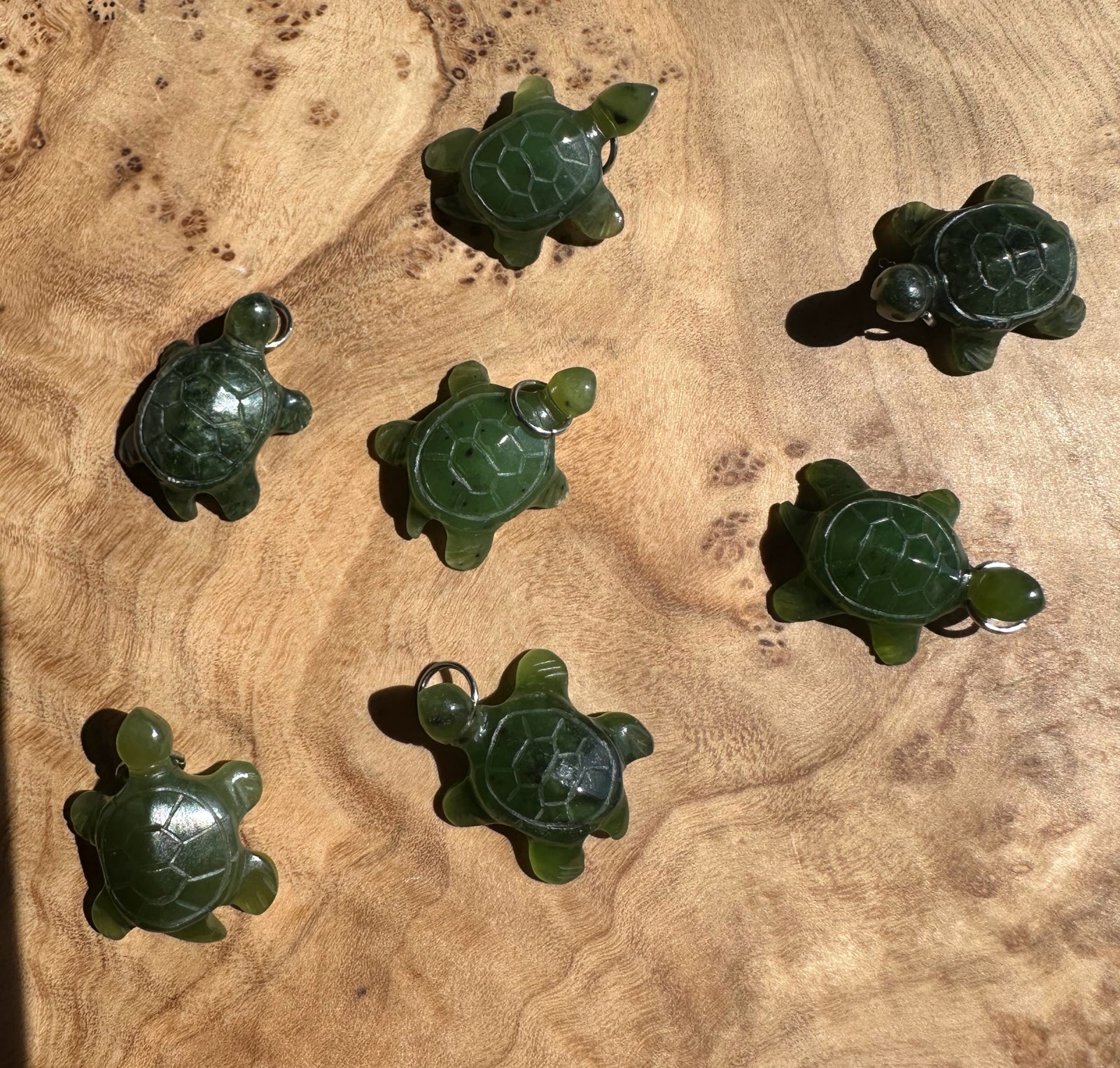 variety of shade of the green jade turtle on wooden background