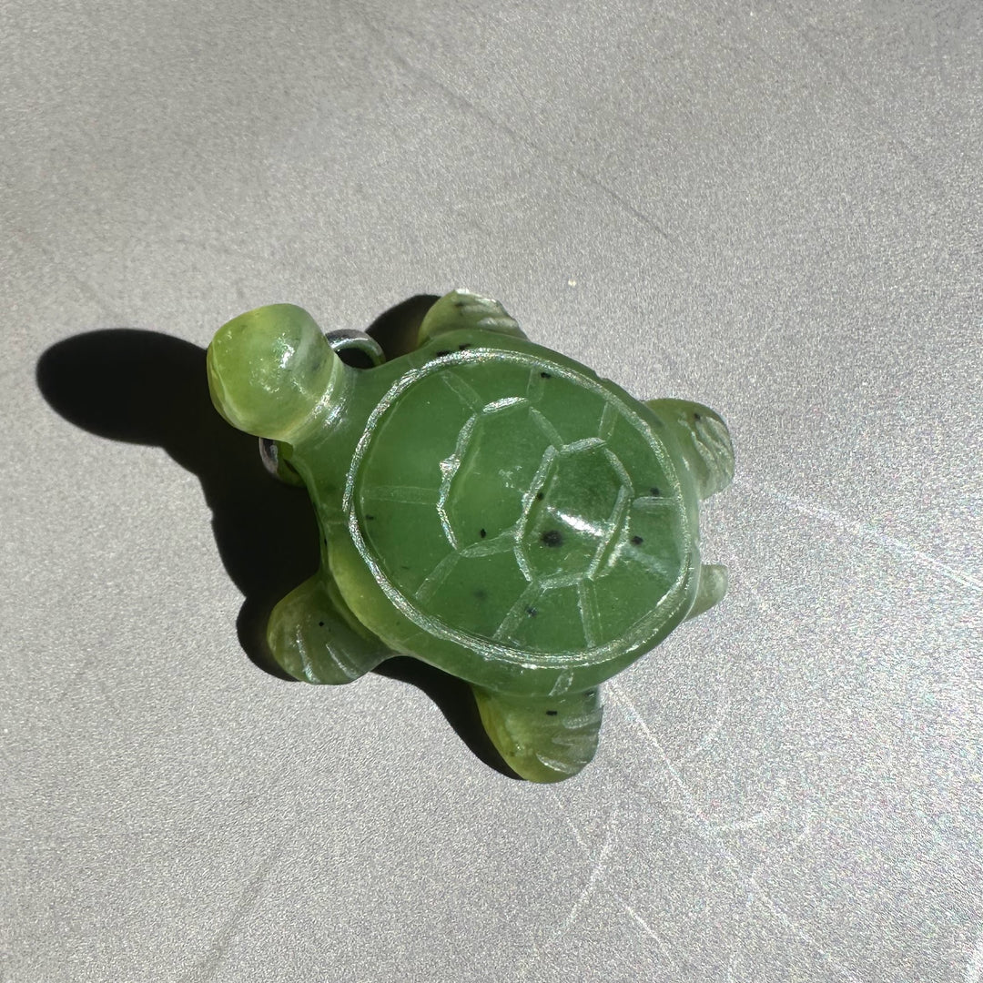 green jade turtle on grey background