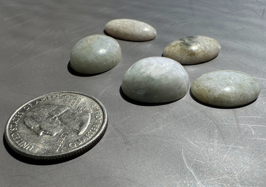 Group of five smooth jadeite cabochons on a gray background with a US quarter for scale
