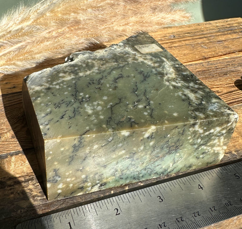 Unique Rough Jade , 3lbs