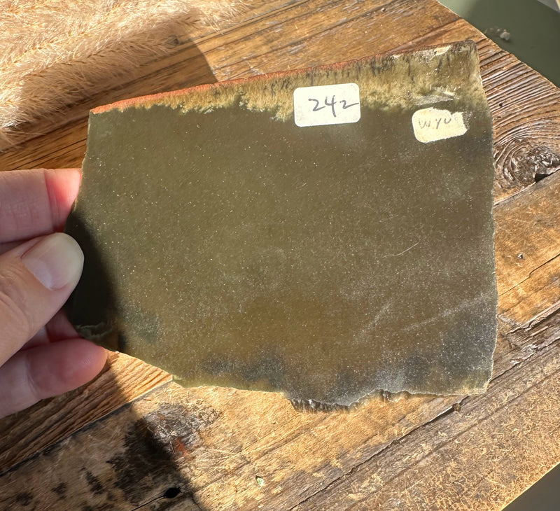 Wyoming Olive Slab - 65g