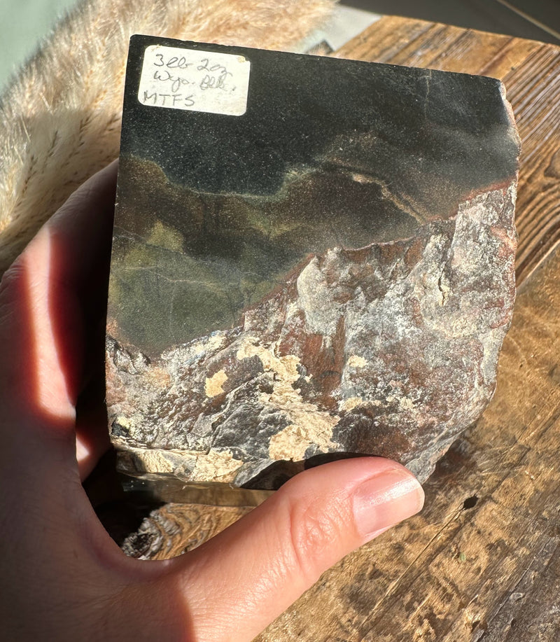 Wyoming Rough Jade - 3 lbs 2oz