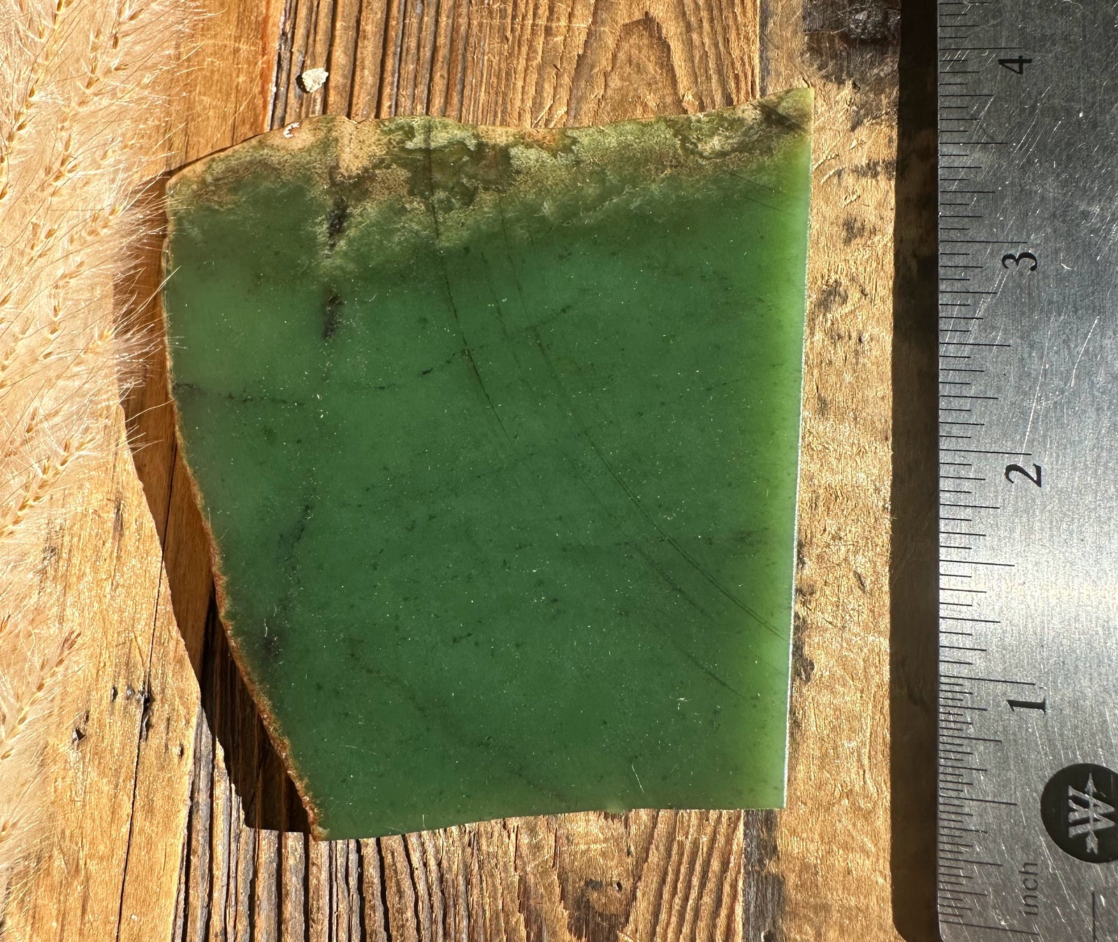 Green rectangular mineral slab with a ruler for scale on a sunlit wooden surface.