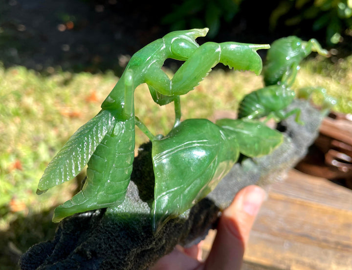 A green translucent insect figurine or decorative object mounted on a dark textured base, held by a person&