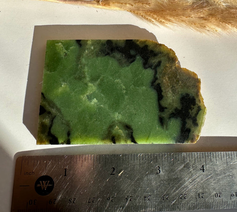 Bull Canyon Wyoming Jade Slab, 80g