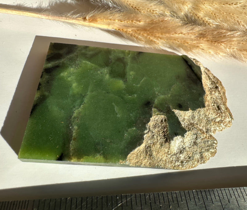 Bull Canyon Wyoming Jade Slab, 80g