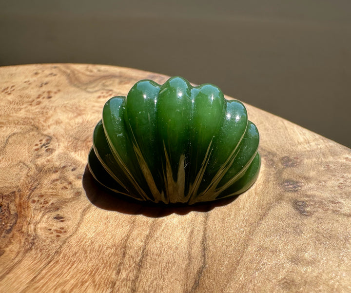 Green stone with fan-like pattern on a wooden surface