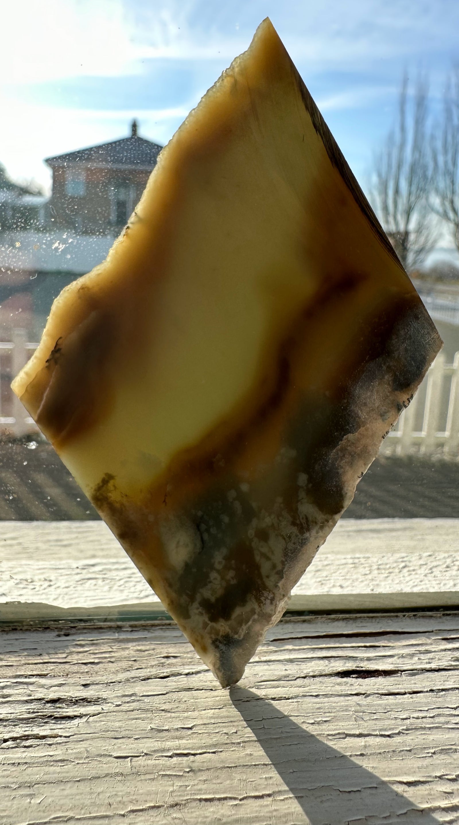 Diamond-shaped Wyoming nephrite slab with amber brown margins and pale green interior by a sunlit window.