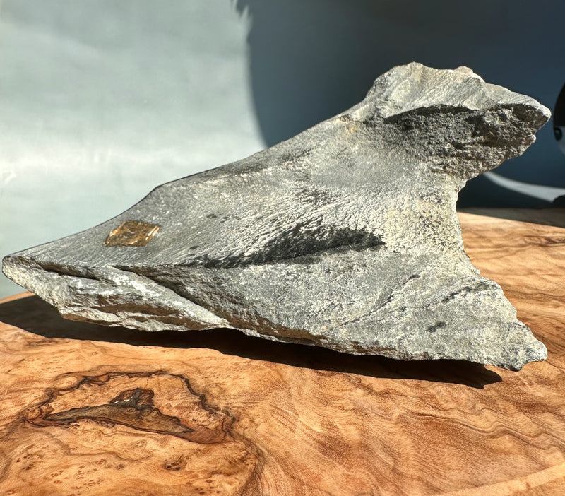 Wyoming Black Jade 1lb 6oz