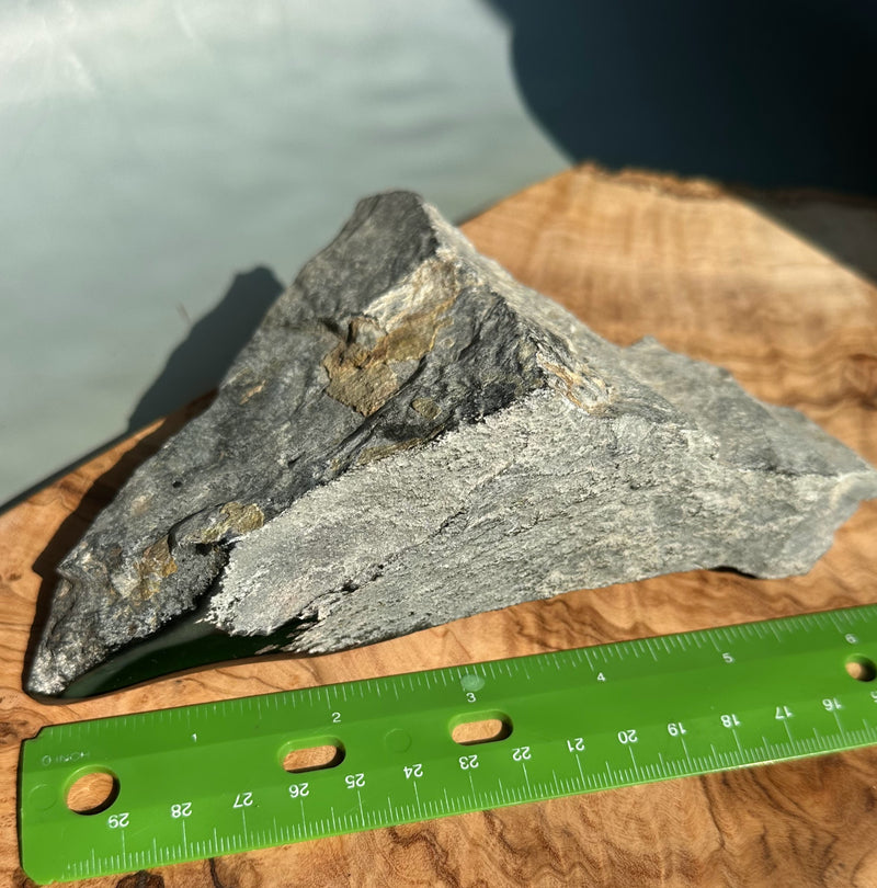Wyoming Black Jade 1lb 6oz