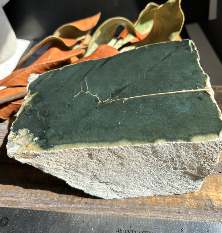 Wyoming Jade slab with dark green surface and pale edge set on a rough gray base with leaves in the background