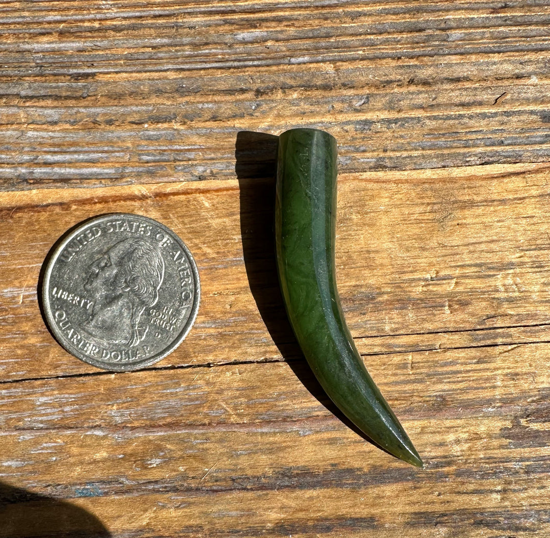 Close up of a jade talon 44mm with a curved tip on wood beside a coin for scale.