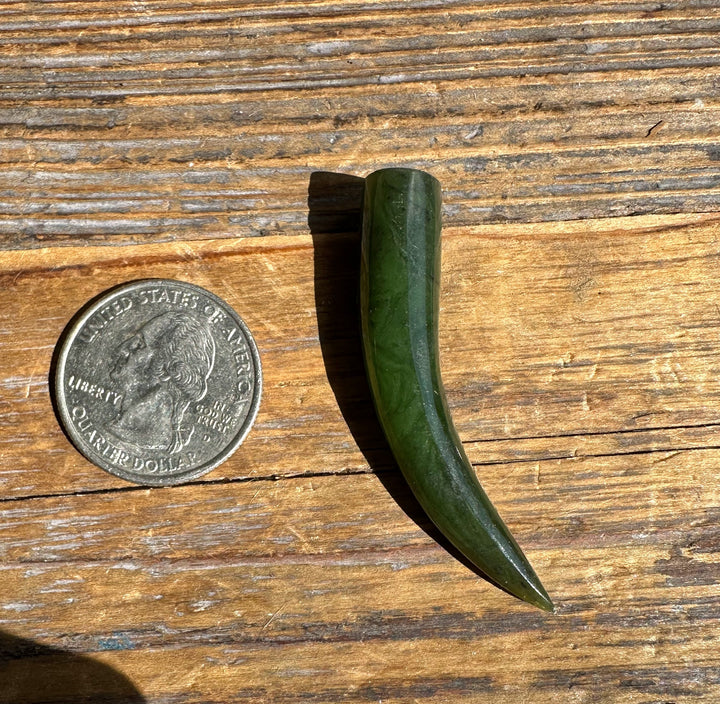Close up of a jade talon 44mm with a curved tip on wood beside a coin for scale.