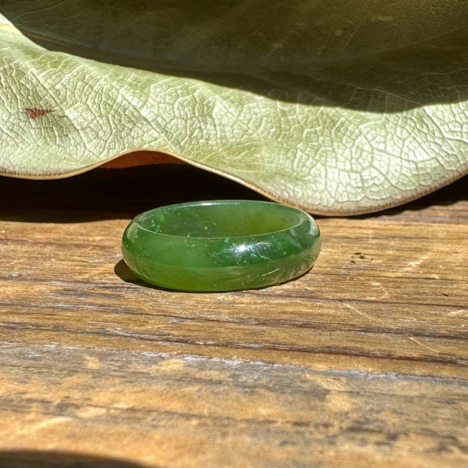 Translucent green jade band ring 6mm wide resting on a wooden surface with a dried leaf in the background
