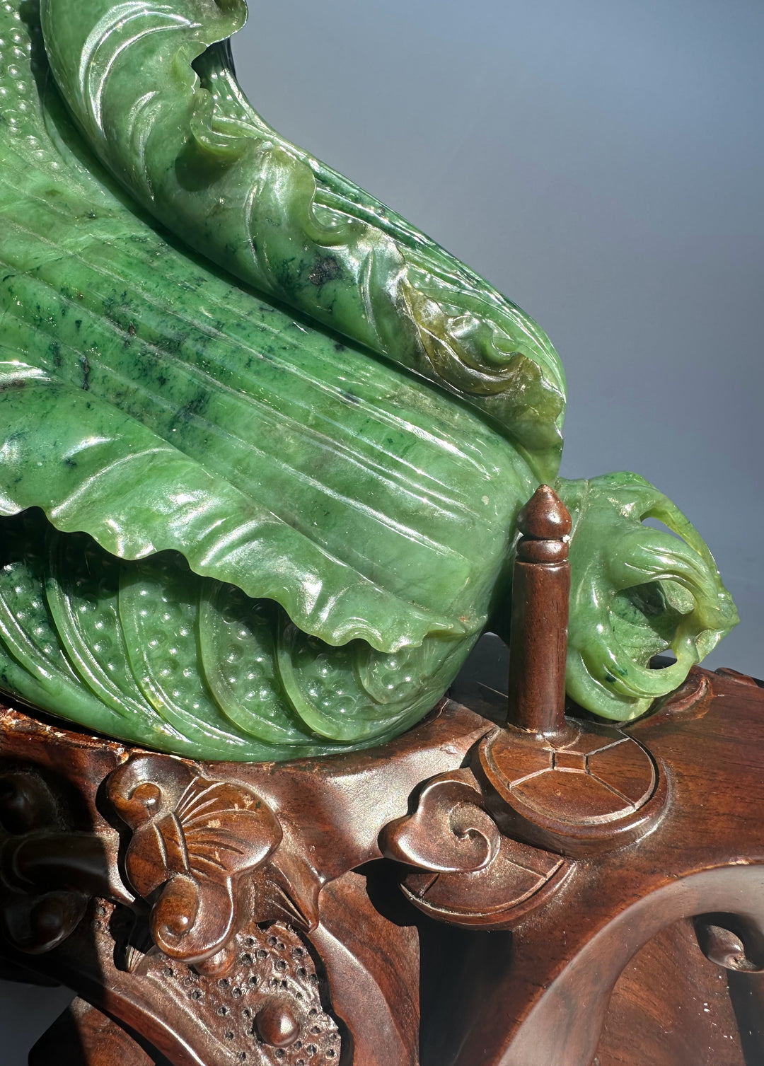 Close up of the large Canadian jade Chinese cabbage showing textured leaves and carved wooden base.