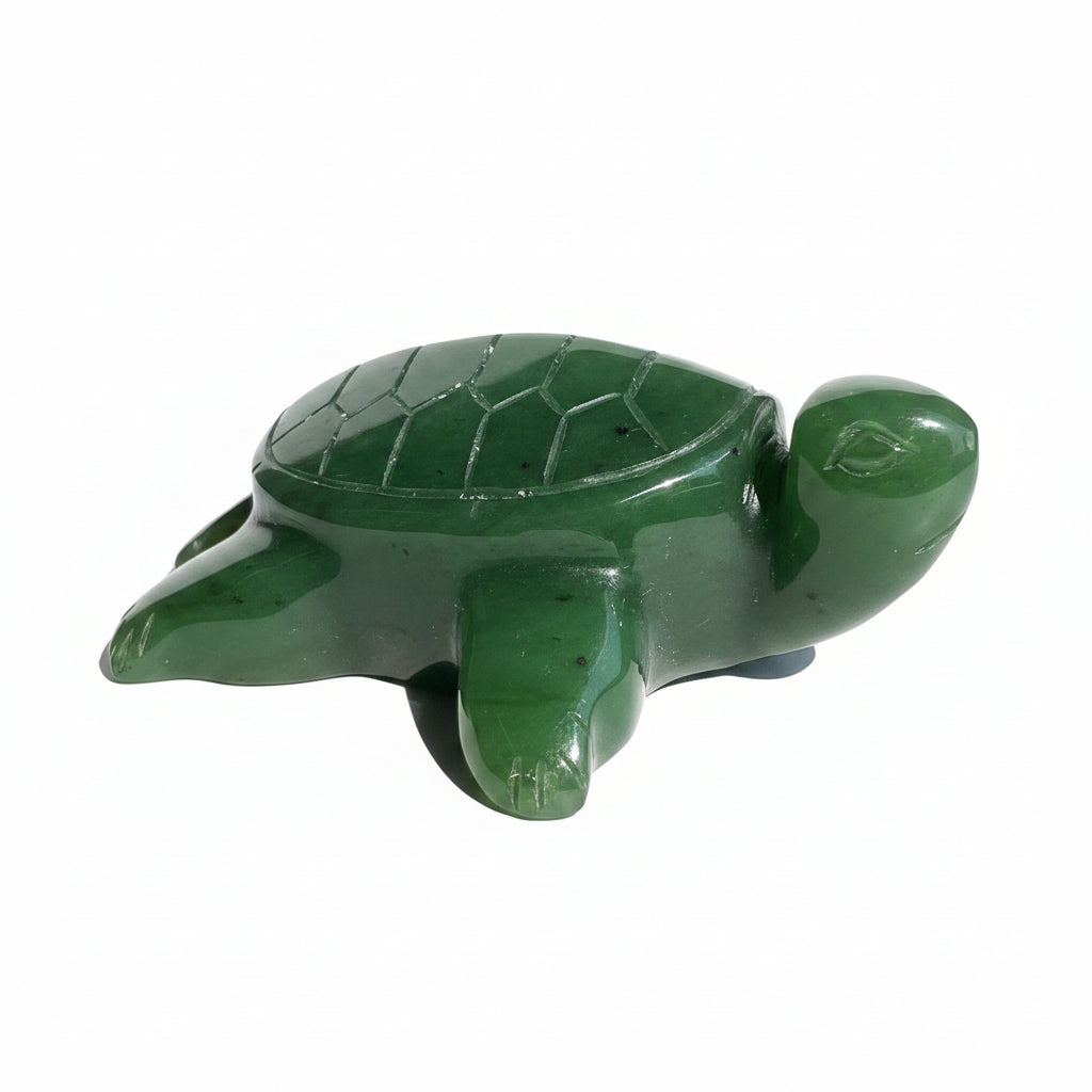 A green jade turtle on a white background 