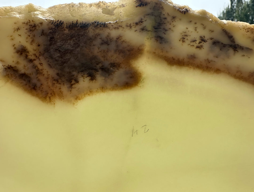 A close-up of a translucent pale yellow jade with dark brown to black mottled areas near the top edge and a small handwritten marking in the center.