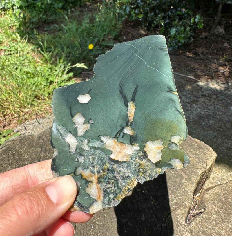 Edwards Black Wyoming Jade Slab, 115 Grams