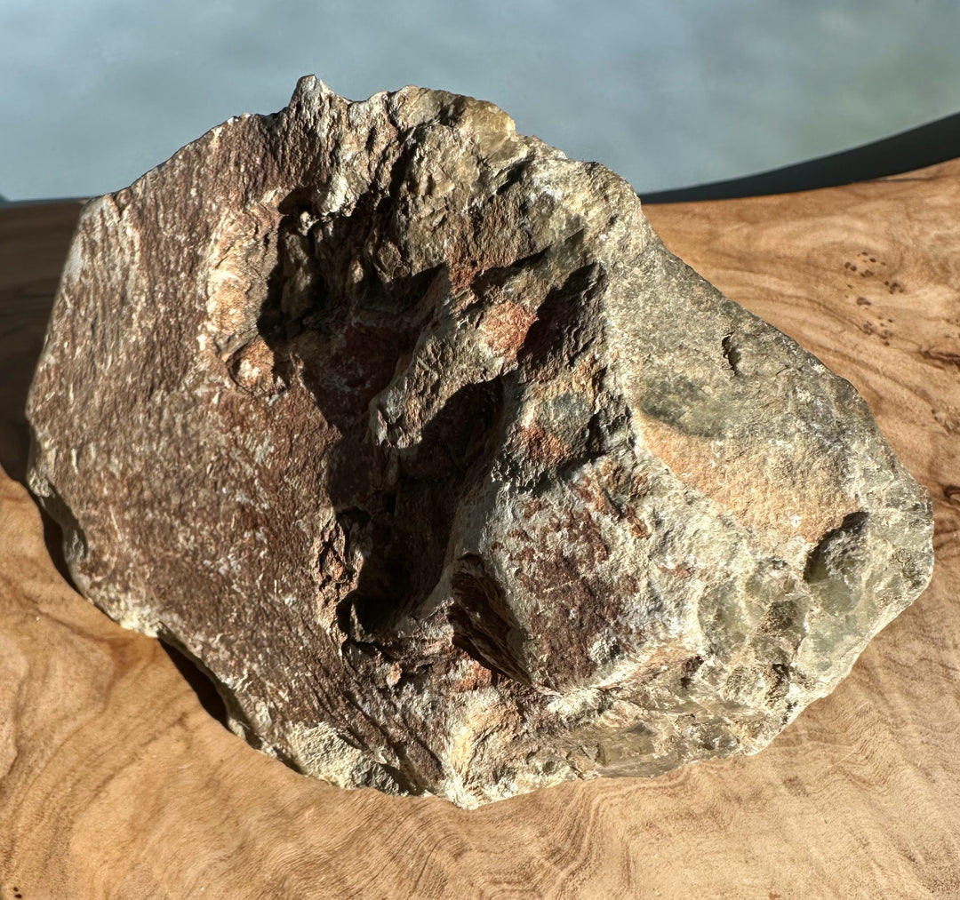 Rugged Wyoming rock with red iron staining and gray surfaces on a wooden table