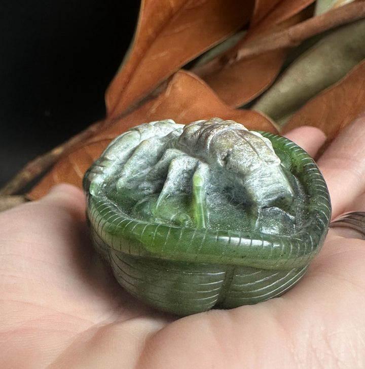 Green jade Spider Hand Held Pendant cradled in a hand showing the round carved design