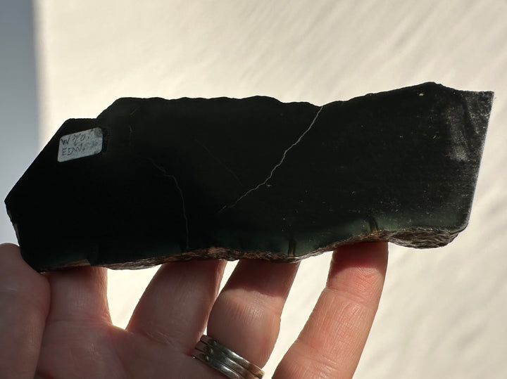 A hand holding a rough, jade specimen against a bright, sunlit off-white background. A small inventory tag is attached to the stone.
