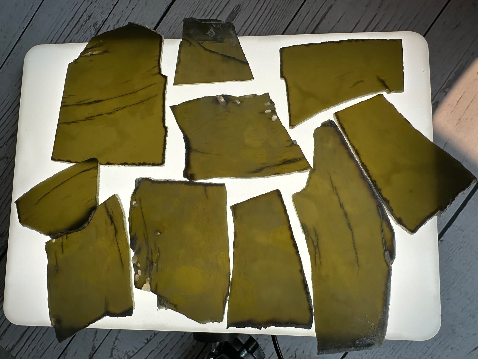 Several irregular olive-green translucent jade laid out on a white tray over a gray wood floor.