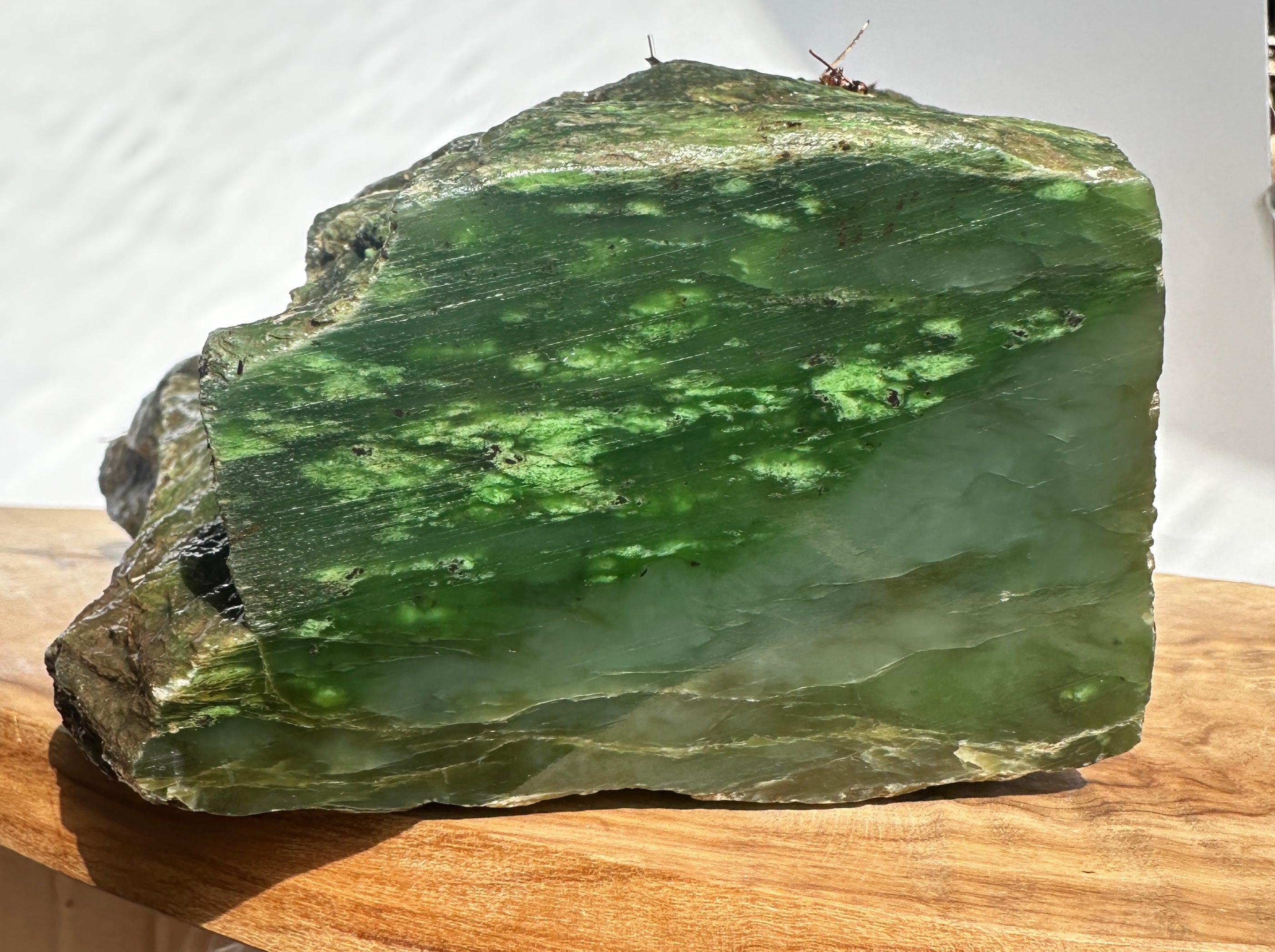 1 oz Bag | Natural Canadian Nephrite Jade Beads (7-8.5mm Mix