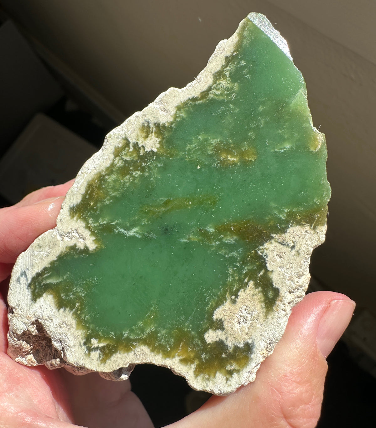 A hand holding a raw green jade with a rough, textured off-white matrix.