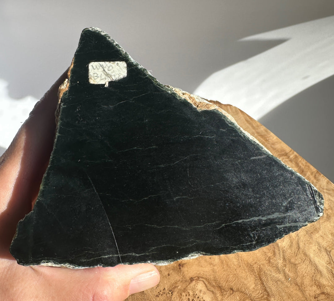 Close up of Wyoming Black Jade 3lb 10oz slab with a small white label on its dark surface, held by fingers.