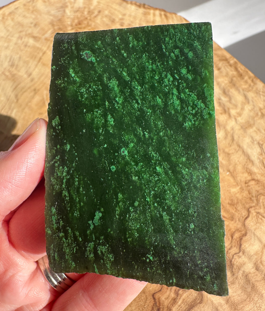 Cassiar Jade Slab 60grams dark green with speckled lighter greens held near the edge with a coin for scale
