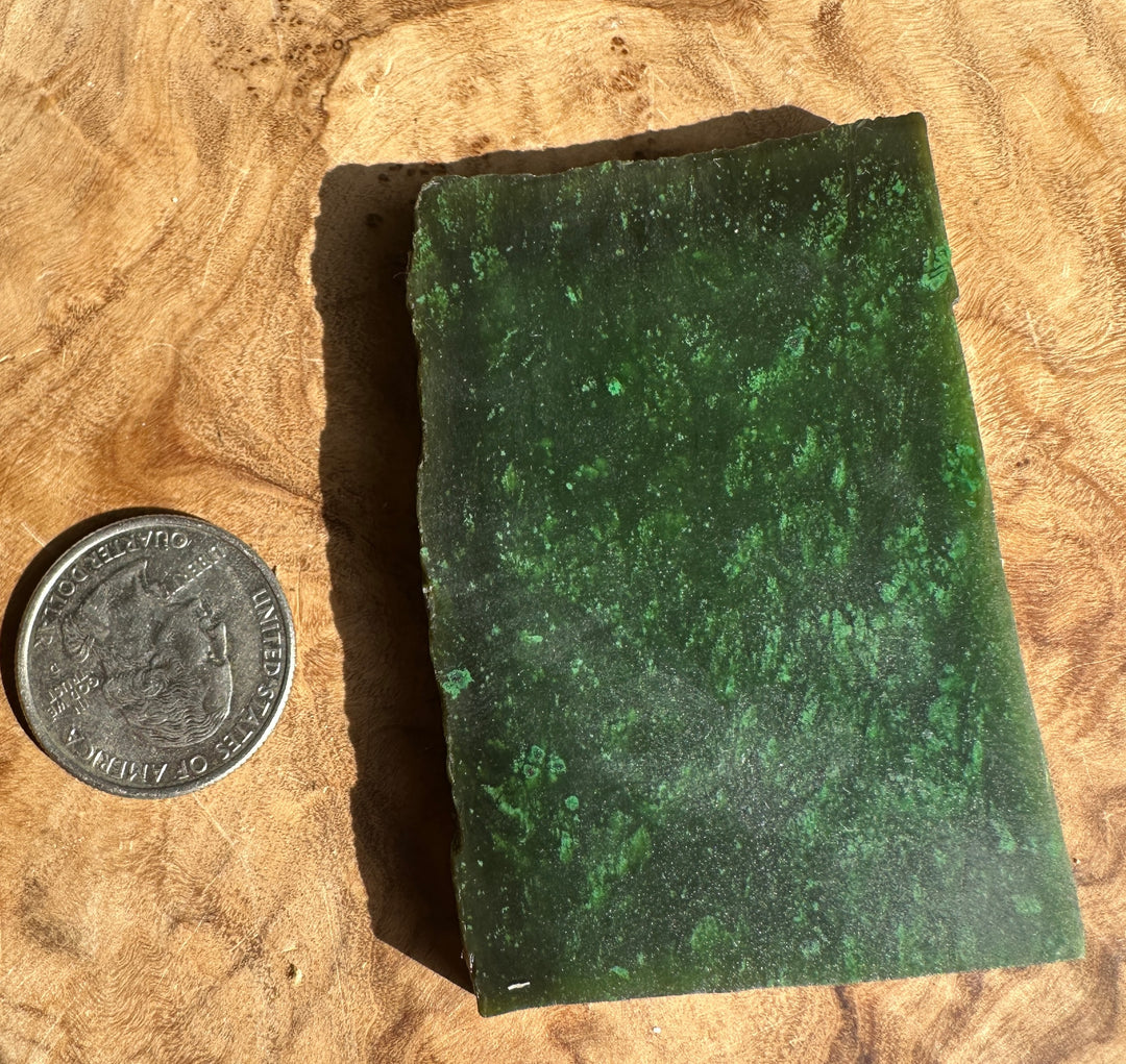Cassiar Jade Slab 60grams dark green with speckled lighter greens placed on a wooden surface beside a coin for scale