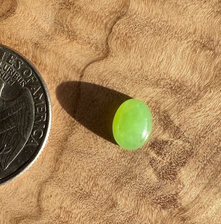 Single AA Siberian oval cabochon 8x6mm bright green next to a US quarter for scale.