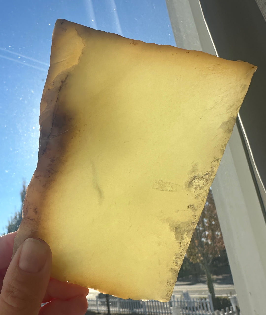A hand holding a raw, semi-translucent yellow stone slab with dark brown edges and inclusions, photographed against a bright window background showing blue sky.