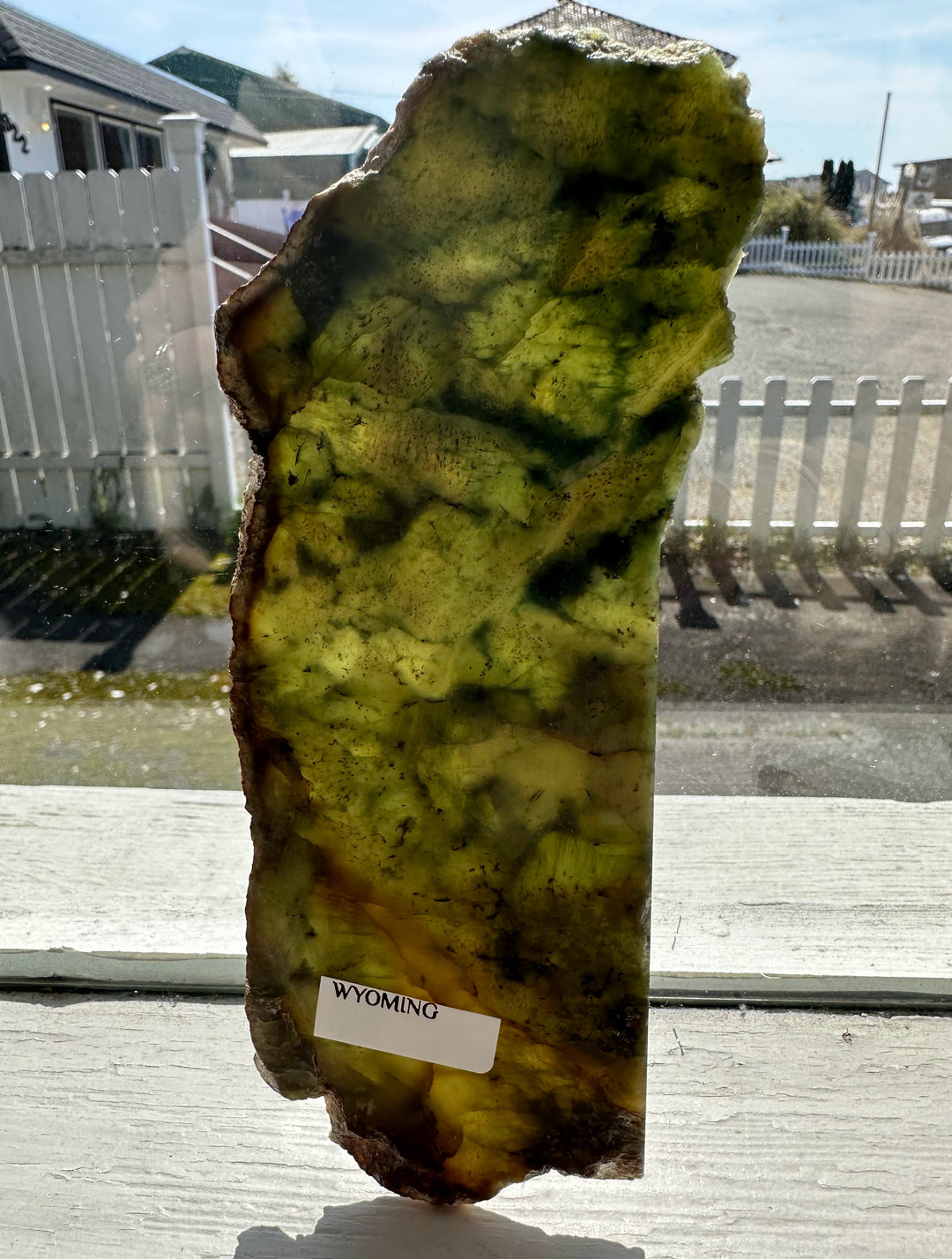 Wyoming Jade Slab 95 grams with green yellow marbling and brown rim labeled WYOMING