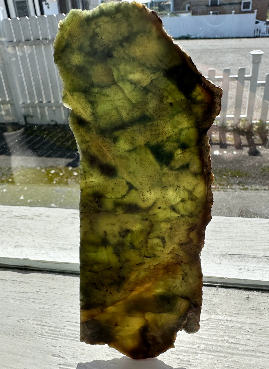 Wyoming Jade Slab 95 grams turtleback standing upright near a window with green yellow marbling