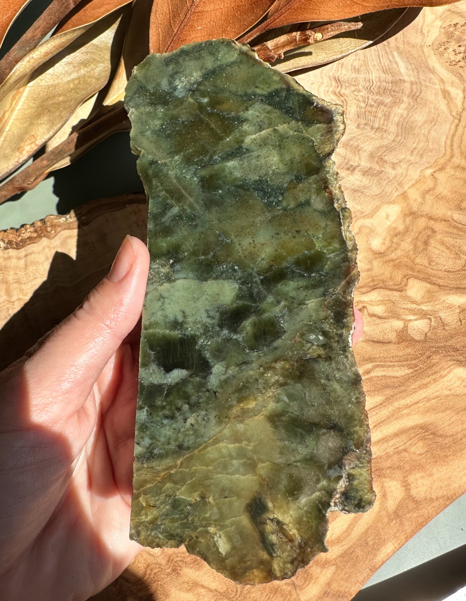 Wyoming jade slab with green tones held in hand showing a turtleback pattern