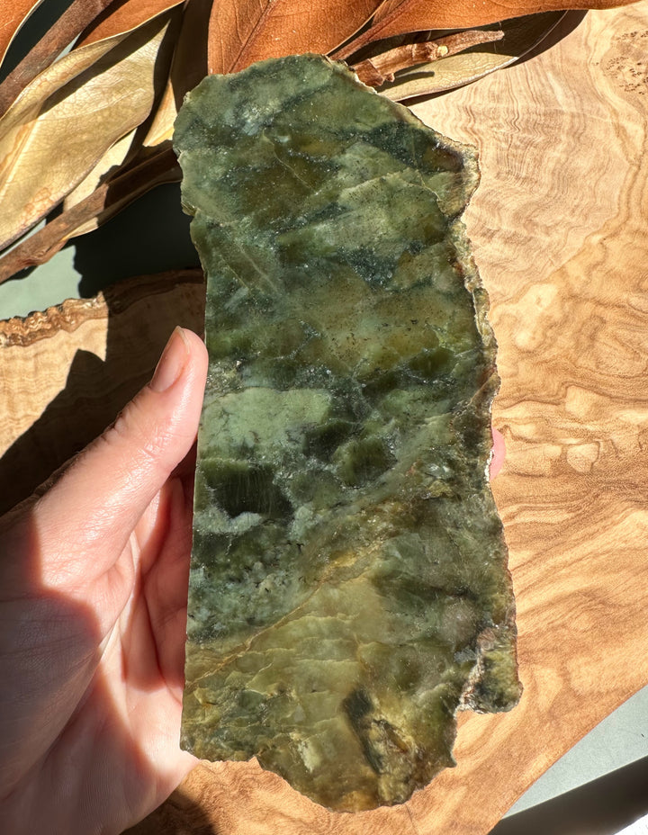 Wyoming jade slab with green tones held in hand showing a turtleback pattern