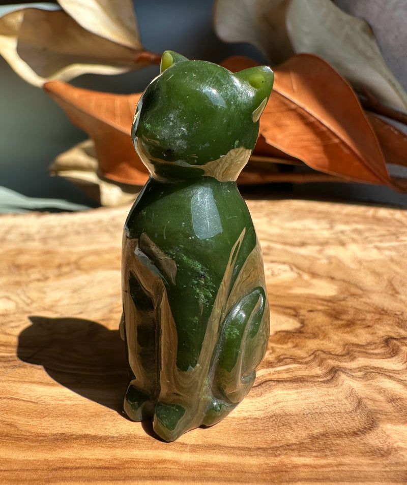 Canadian Jade 2.25" Cat*