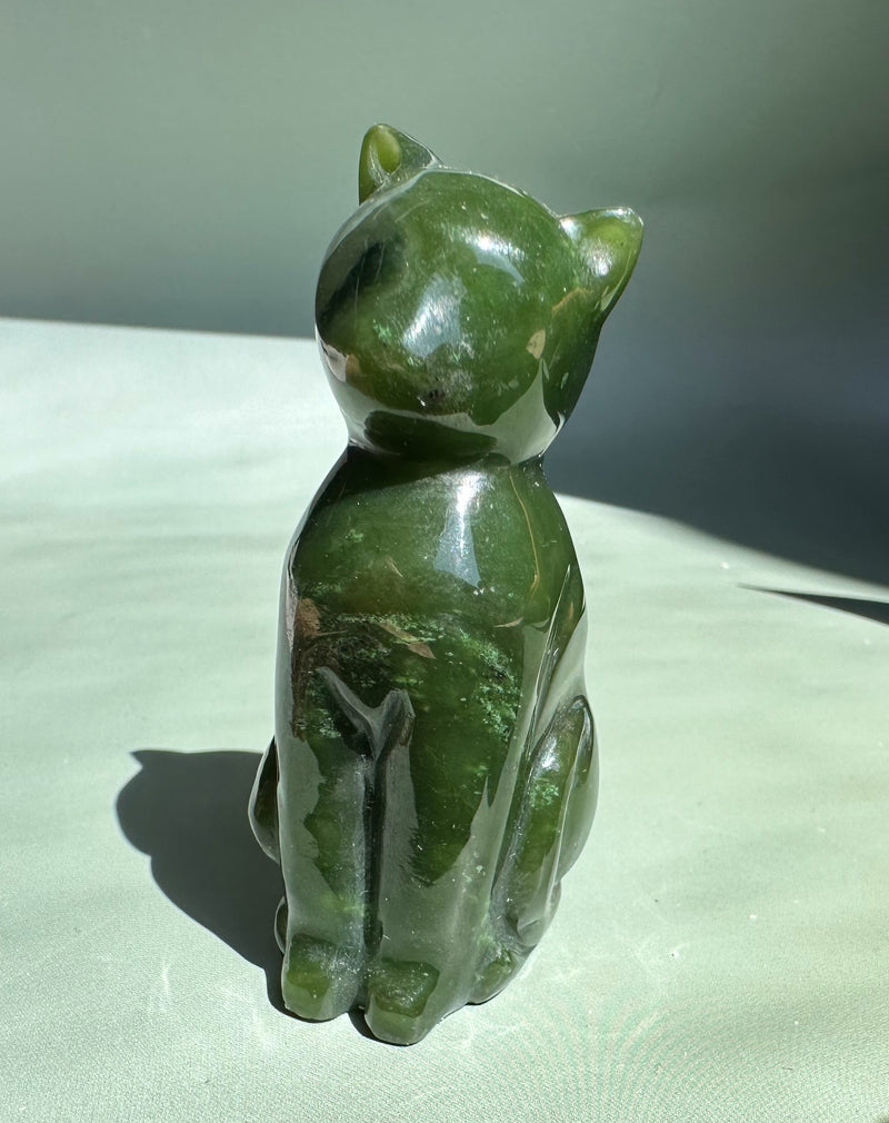 Canadian Jade 2.25" Cat*