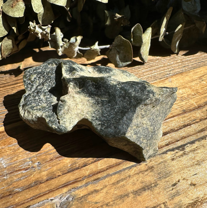 Wyoming Olive Jade Slick stone with dark olive gray surface resting on a wooden table with dried leaves in the background