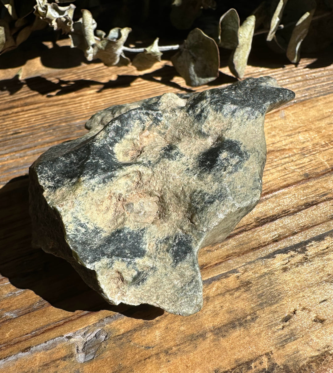 Wyoming Olive Jade Slick stone shown from a side angle on a wooden surface