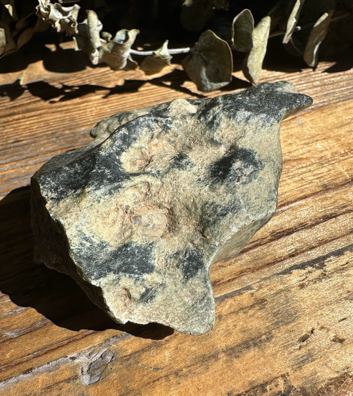 Wyoming Olive Jade Slick stone shown from a side angle on a wooden surface