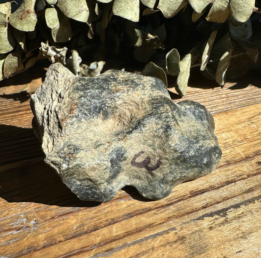 Wyoming Olive Jade Slick rock on a wooden surface with dried leaves in the background, 165 grams