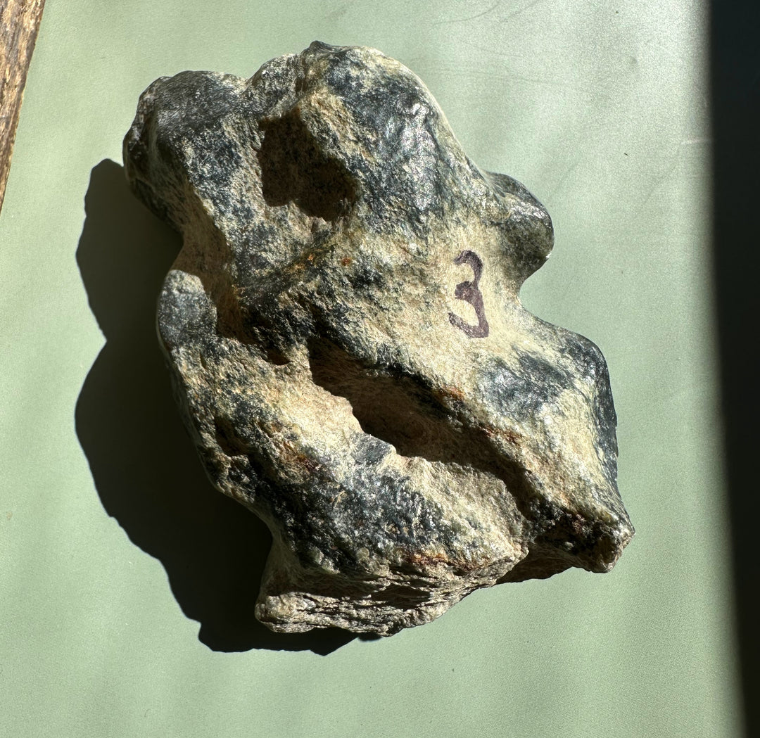 Wyoming Olive Jade Slick rock sample with a rough gray beige surface and a purple 3 marking