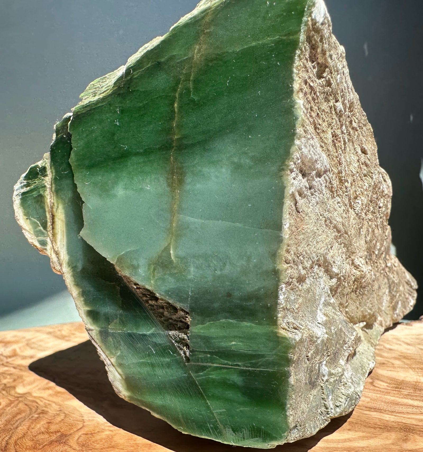 Vertical view of a green nephrite rough slab with a smooth green face and a brown rugged outer crust.