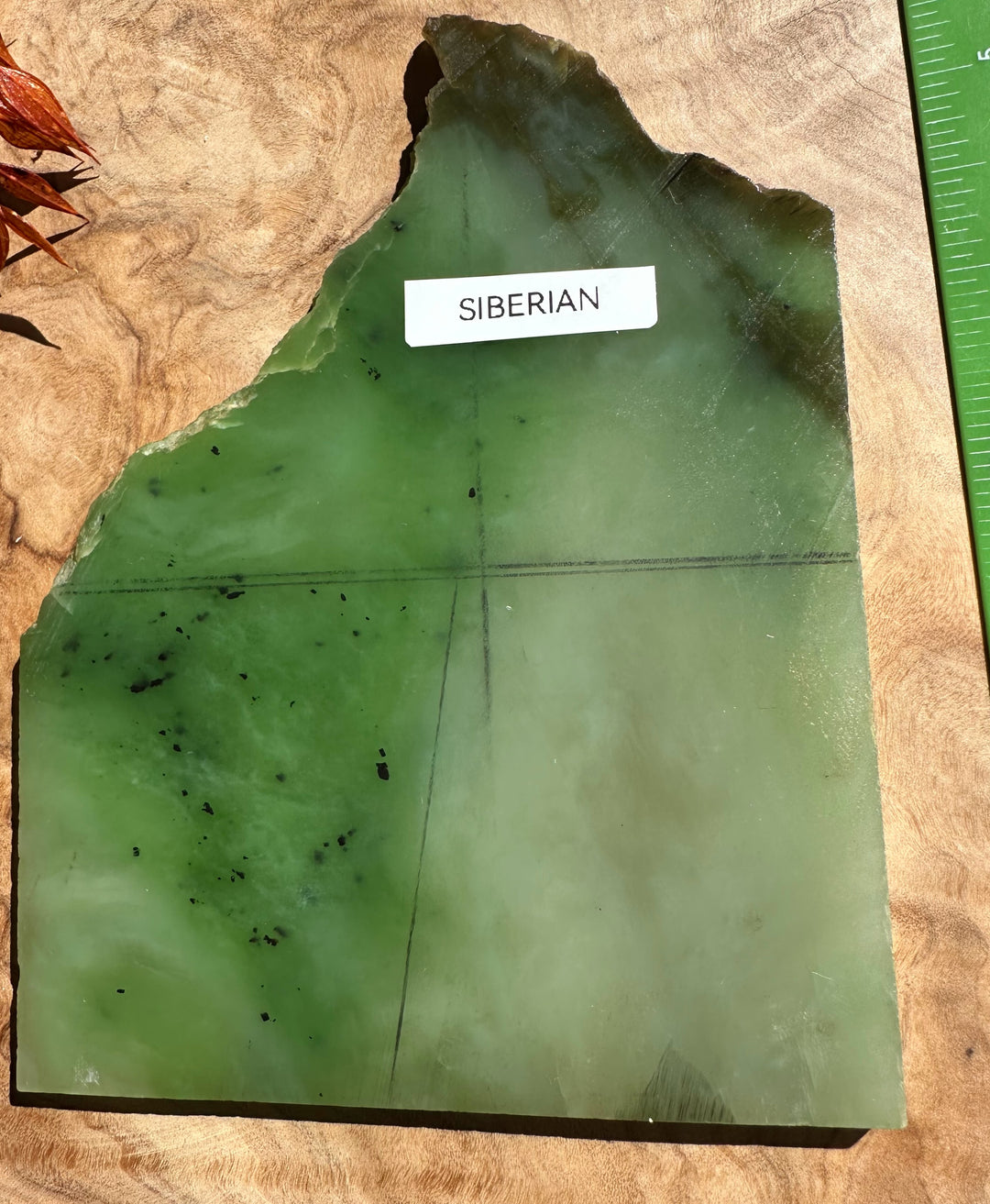 Vivid green Siberian nephrite jade slab with darker streaks and a ruler beside it