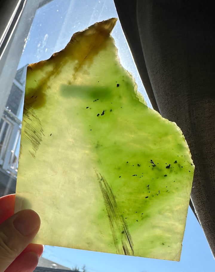 Translucent lime green nephrite jade slab held up to sunlight with a Siberian label