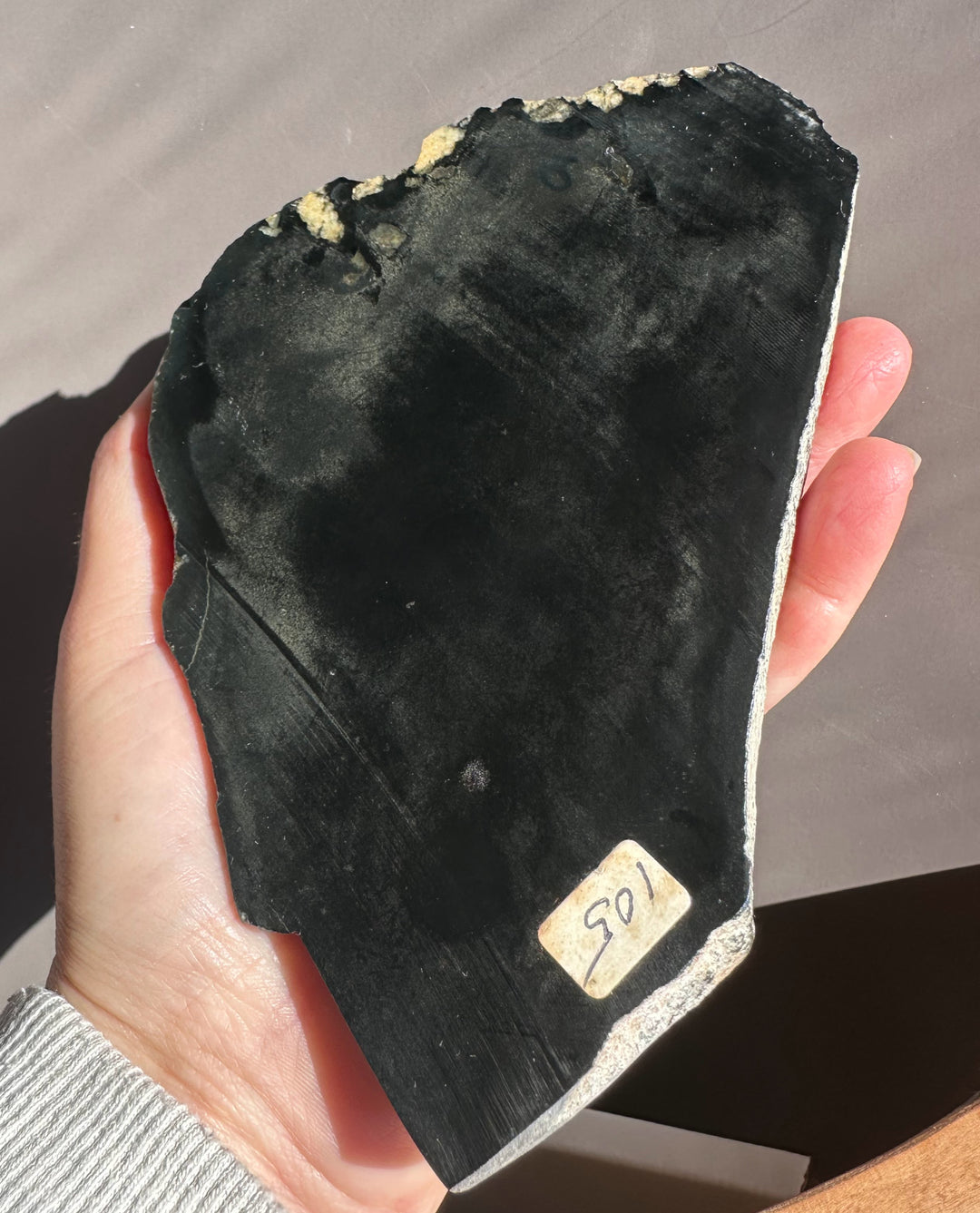 Wyoming rock sample black obsidian-like slab with a rough chipped edge held in hand